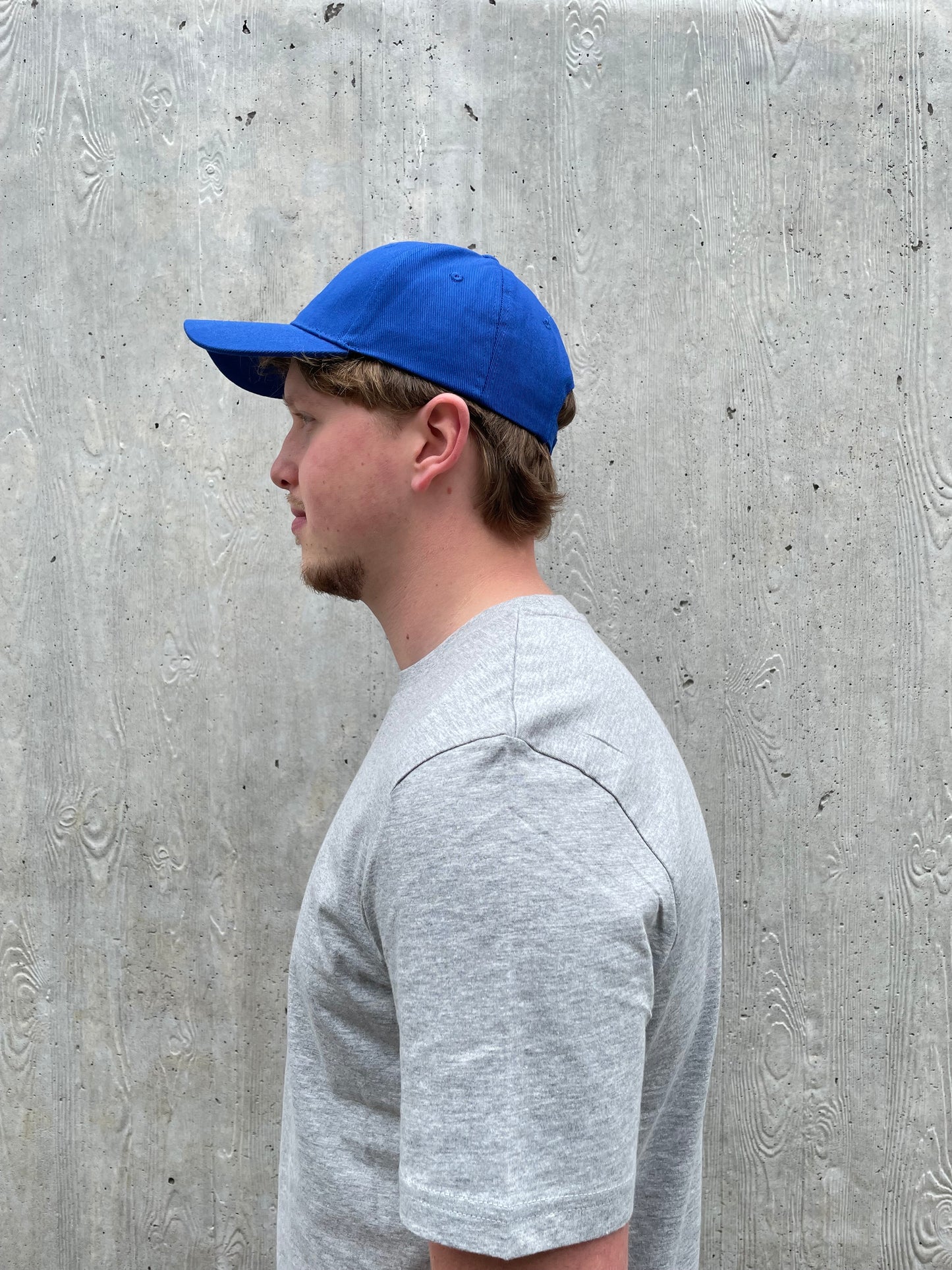 Pet logo - Fel blauw