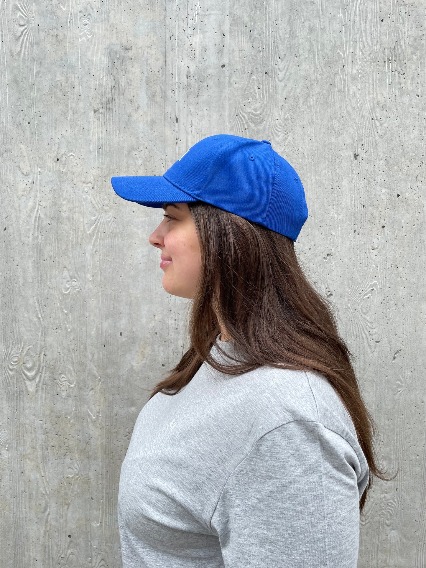 Pet logo - Fel blauw