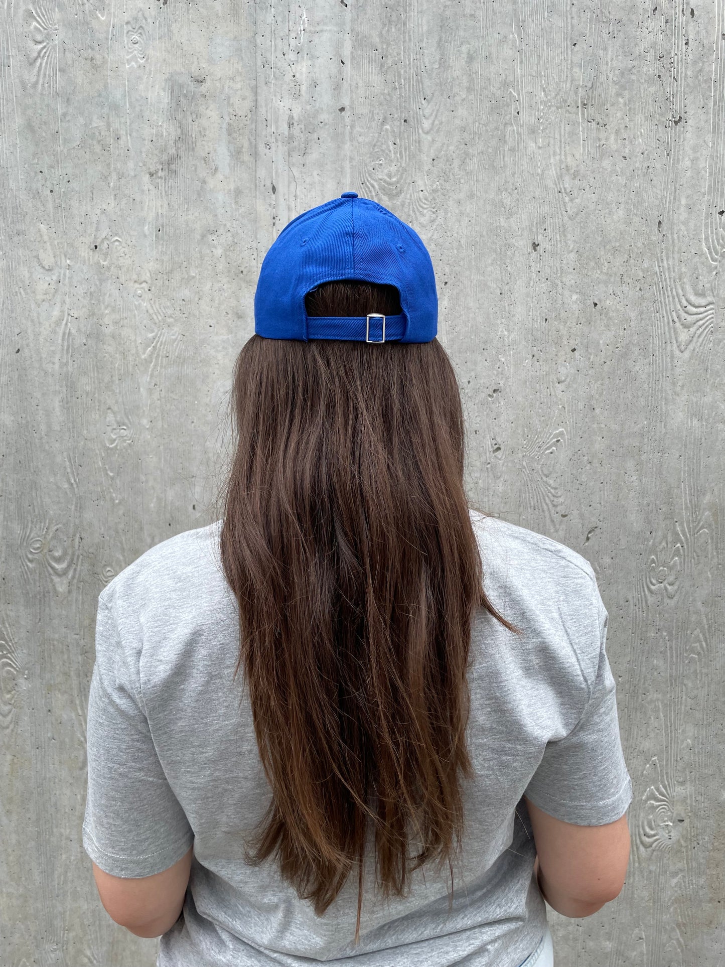Pet logo - Fel blauw