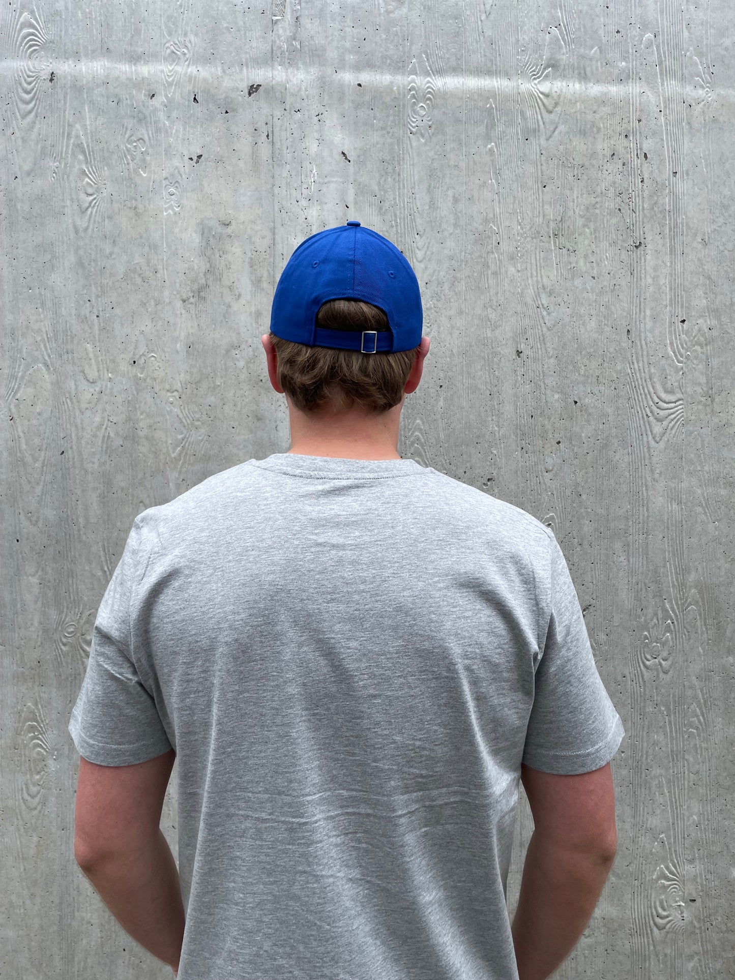 Pet logo - Fel blauw