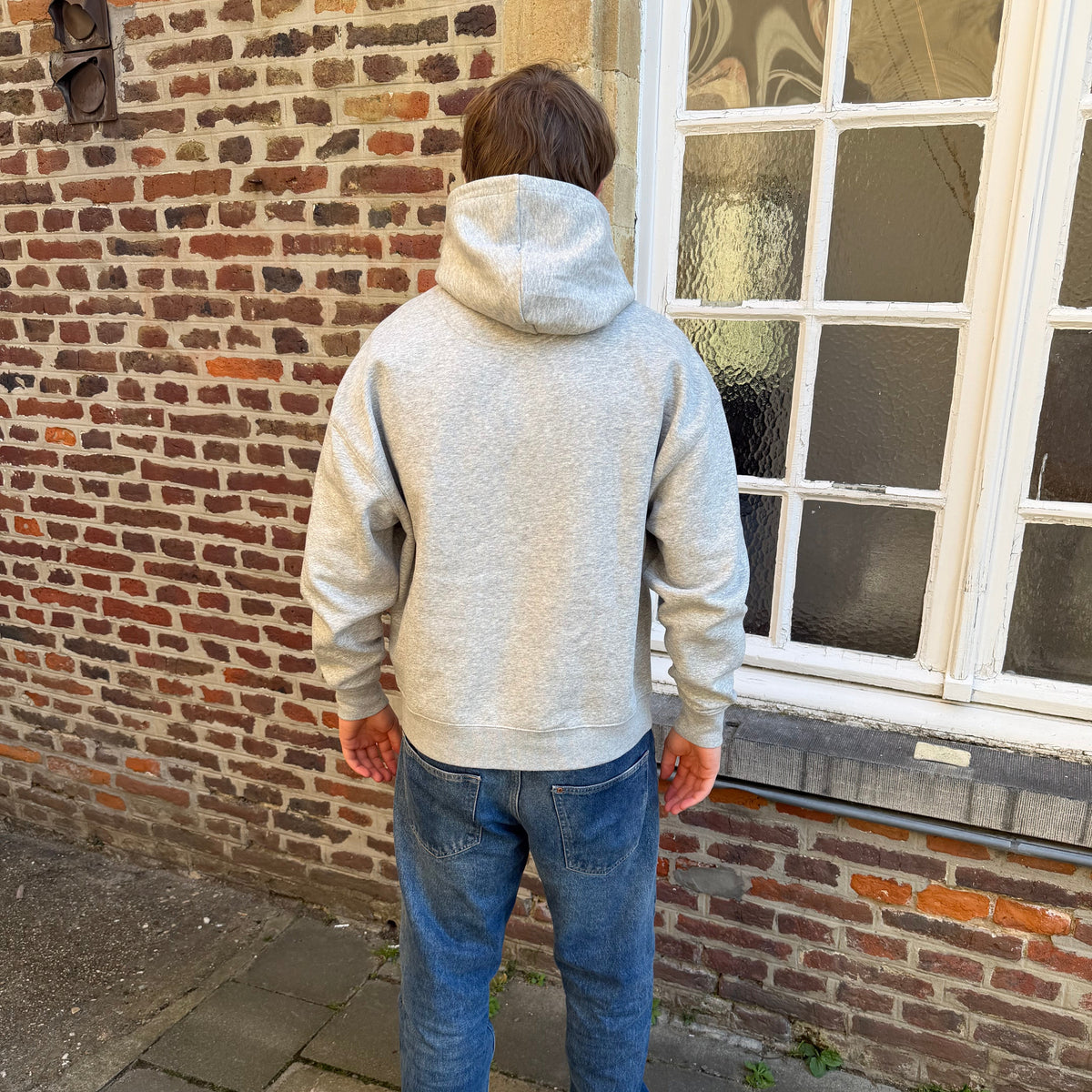 Hoodie met groot logo - Grijs